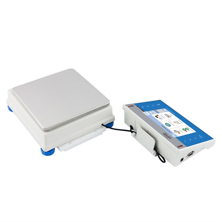 radwag WLY 10/D2 PRECISION BALANCE