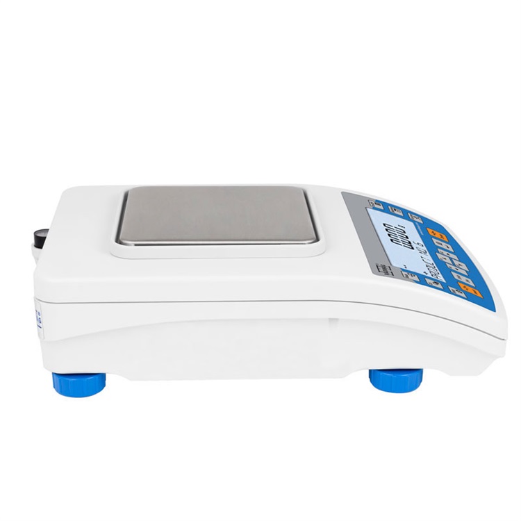 radwag  PS R2 PRECISION BALANCES