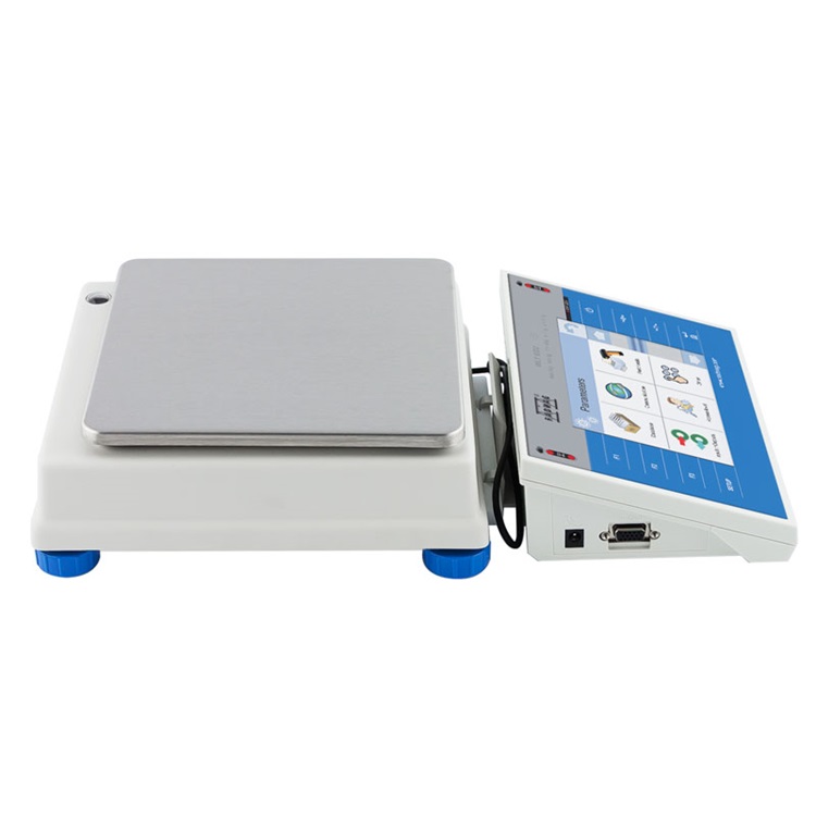 radwag WLY 10/D2 PRECISION BALANCE