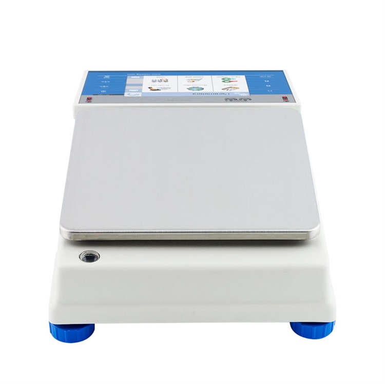 radwag WLY 10/D2 PRECISION BALANCE