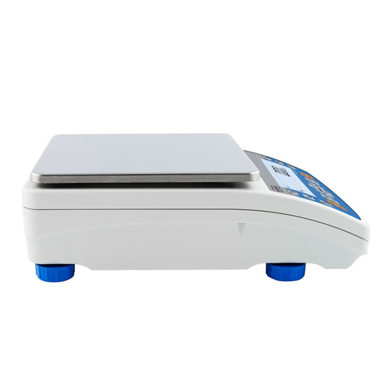 radwag  PS R1 PRECISION BALANCES