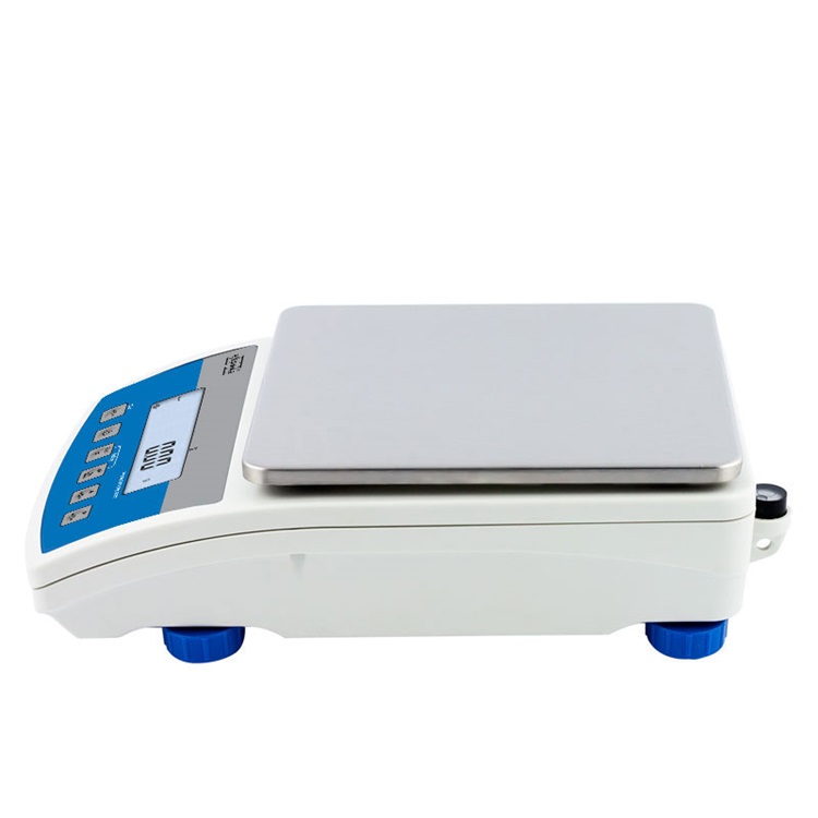 radwag  WLC 1/A2/C/2 PRECISION BALANCE