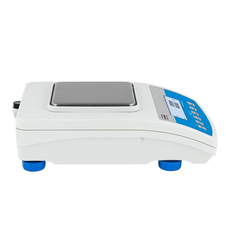 radwag  WLC 1/A2/C/2 PRECISION BALANCE