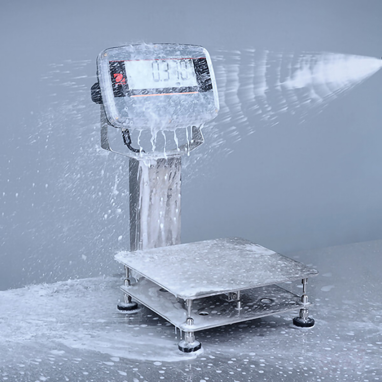 BENCH SCALES DEFENDER™ 6000 WASHDOWN - I-D61PW